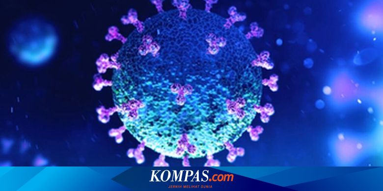 UPDATE 25 Juni: Kasus Aktif Covid-19 Capai Angka Tertinggi Selama Pandemi - Vimarsana News