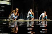 6 Rukun Wudhu yang Wajib Dipenuhi untuk Menyempurnakan Ibadah Sholat