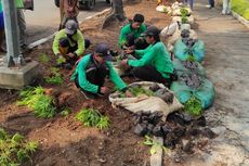 Trotoar di Depan Kedubes AS Dipercantik dengan Tanaman Hias