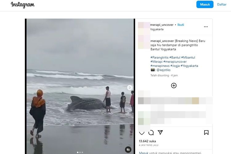 Tangkapan layar seekor hiu terdampar di tepi Pantai Parangtritis pada Rabu (16/11/2023).