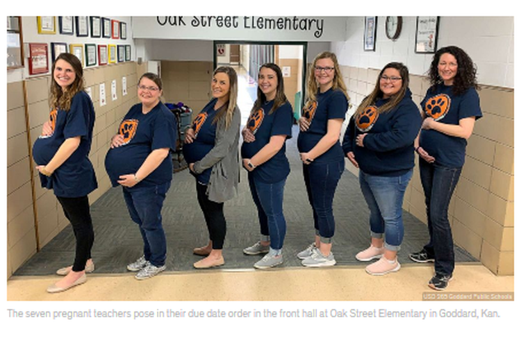 Ketujuh guru ini melahirkan berturut-turut dalam rentang delapan bulan, dari Maret hingga Oktober 2019.