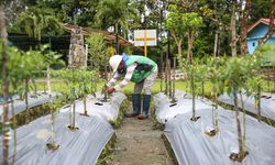 MIND ID Genjot Ekonomi Sirkuler, Ubah Sampah Jadi Produk Bernilai
