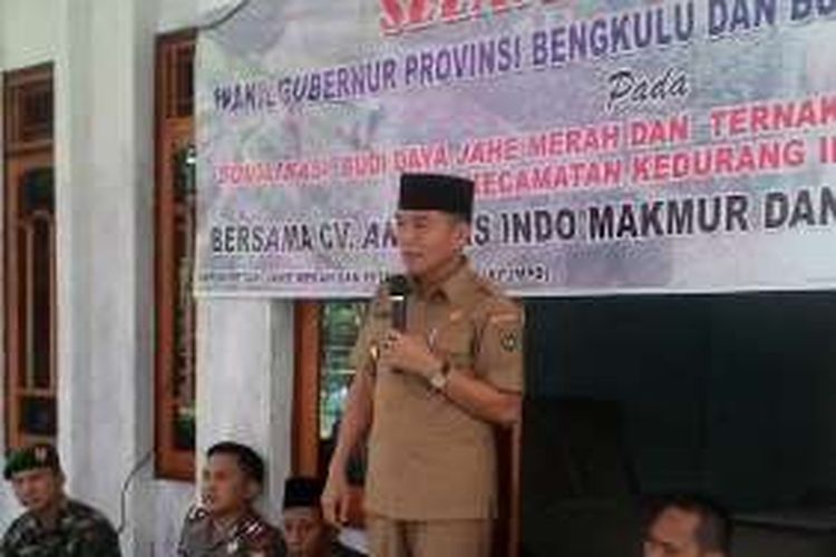 Bupati Bengkulu Selatan, Dirwan Mahmud