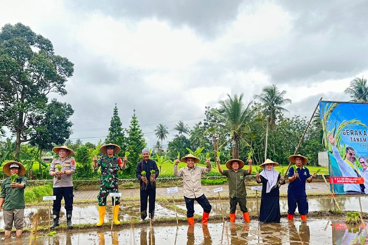 Kementan dorong percepatan tanam padi di Sukabumi untuk wujudkan akselerasi program Upsus LTT Padi Nasional 2023.