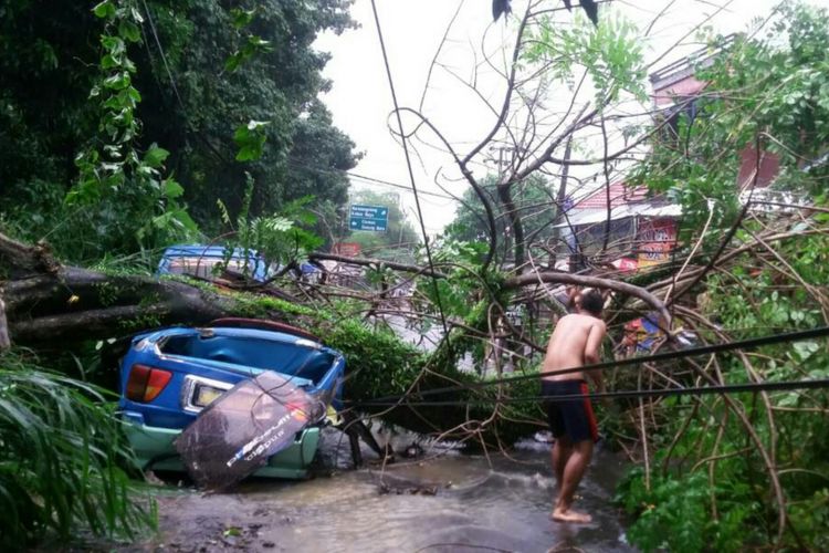 Pohon tumbang menimpa sebuah angkot di Jalan Pancasan, Kecamatan Bogor Selatan, Kota Bogor, Kamis (4/5/2017).