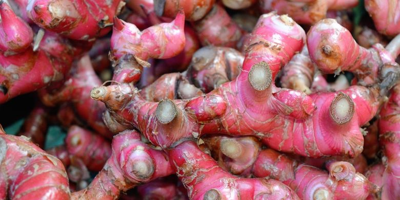 Ilustrasi jahe merah, salah satu tanaman herbal asli Indonesia.