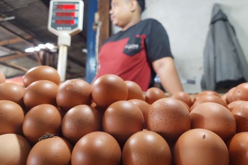 Usai Lebaran Harga Telur Masih Mahal, Apa Sebabnya?