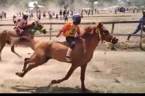 Koalisi Stop Joki Anak NTB Desak Bubarkan Pacuan Kuda Tanpa Izin di Bima