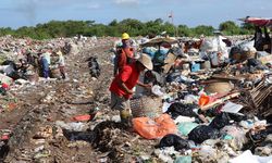 eMaggot, Platform Jual Beli Online Maggot untuk Pengolahan Sampah