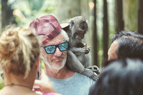 Monkey Forests in Bali Reopen in Time for the Year-End Holidays