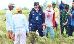 Panen 3 Kali Semusim, Karawang Ingin Dijadikan Mentan SYL Model Pertanian Modern