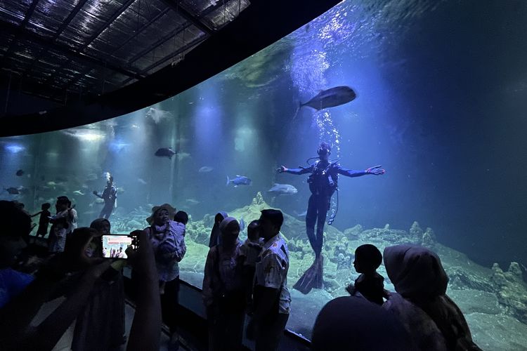 Long Weekend di Aquarium Indonesia Pangandaran, Saat Anak-anak Belajar Laut dari Balik Kaca Raksasa