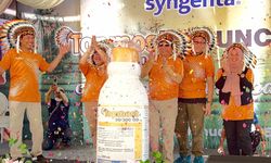 Ini Upaya Syngenta untuk Mendukung Ketahanan Pangan Indonesia
