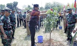 Hadapi Cuaca Panas, Wali Kota Semarang Galakkan Gerakan Penghijauan 