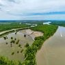 Saat Mangrove Menjadi Penopang Ekonomi dan Harapan Baru Warga Pesisir