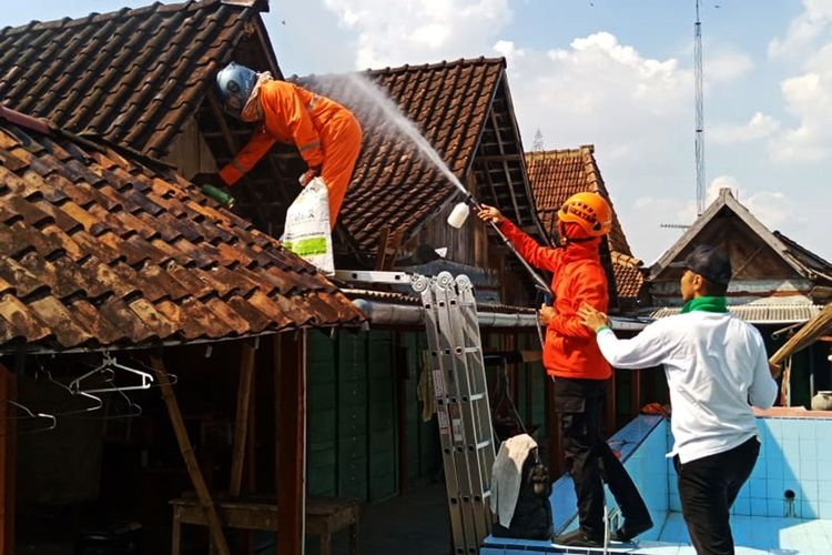 Evakuasi sarang tawon ndas  di Desa Sukowiyono Kabupaten Ngawi. Khawatir dengan keberadaan sarang tawon ndas, BPBD Kabupaten Ngawi melakukan evakuasi sarang tawon ndas.