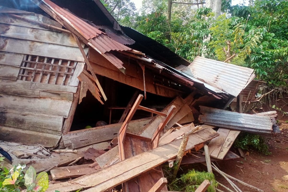 Masuk Permukiman, Kawanan Gajah Rusak Belasan Rumah di Tanggamus Lampung