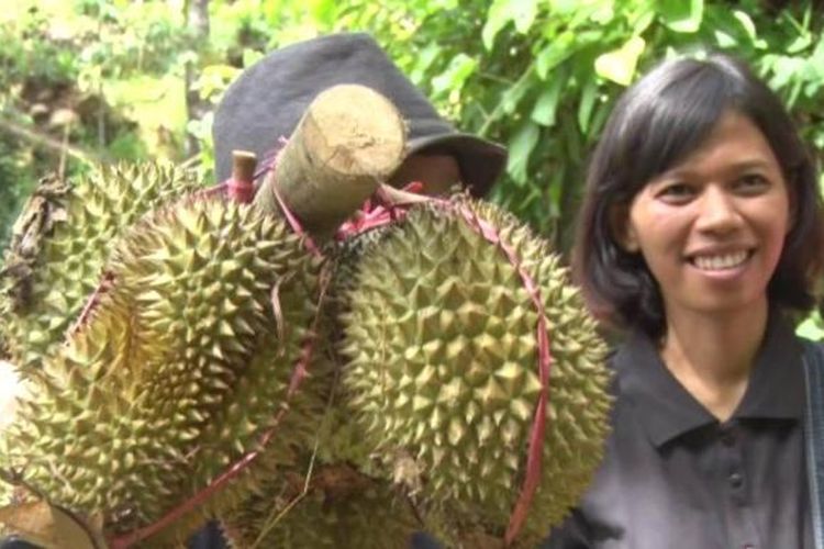 Wisatawan bersama petani durian di desa wisata Sawahan, Kecamatan Watulimo, Kabupaten Trenggalek, Jawa Timur.