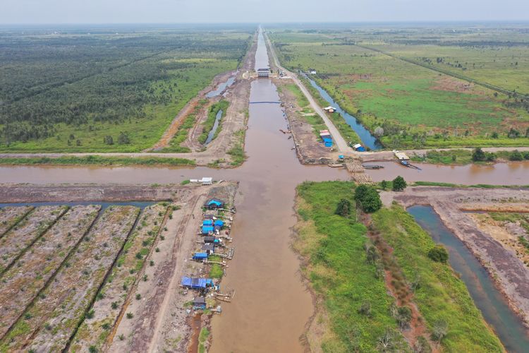 Kawasan yang dipilih menjadi lokasi lumbung pangan di Kecamatan Dadahup, Kabupaten Kapuas, Kalteng. 