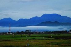 Kibarkan Merah Putih di Puncak Gunung Wilis, 15 Pendaki Asal Surabaya Tersesat, Ini Kronologinya