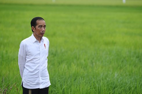 Jokowi: Kita Menghadapi Masalah Kesehatan dan Ekonomi yang Sangat Pelik