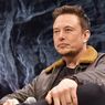 Geramnya Investor Kripto Terhadap Elon Musk
