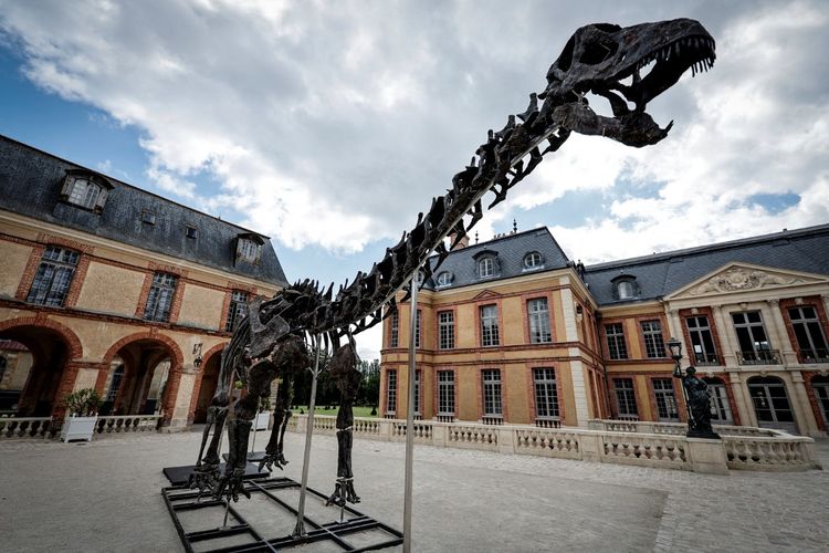Fosil Dinosaurus Usia 150 Juta Tahun Laku Rp 100 Miliar di Paris