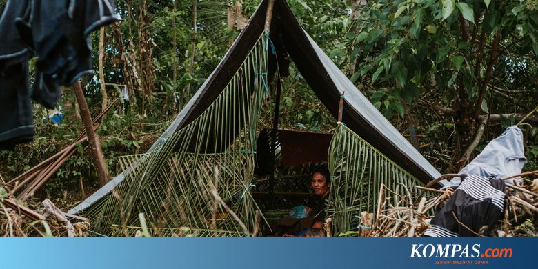 Korban Jiwa Gempa Maluku Bertambah Jadi 38 Orang