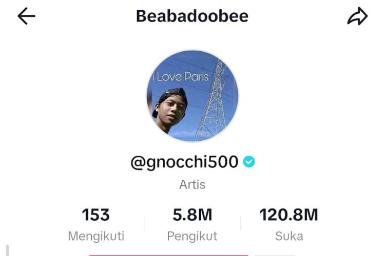 Bahagianya Deni, Meme Wajahnya Jadi Foto Profil Akun Medsos Penyanyi Beabadoobee