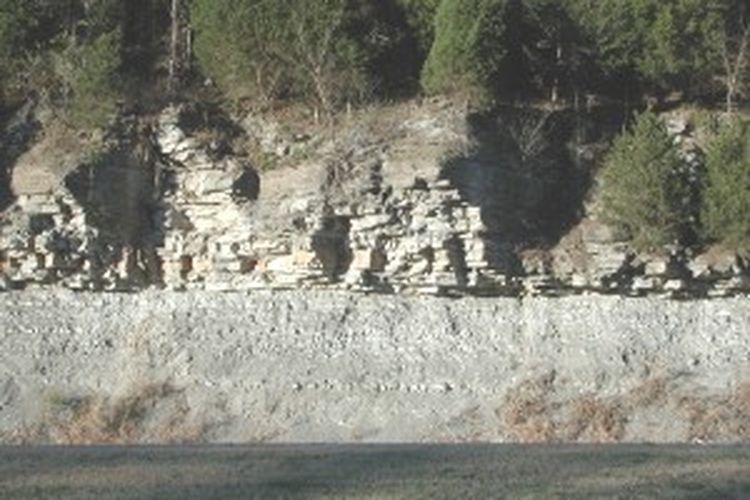 Batu gamping adalah salah satu jenis batuan sedimen.