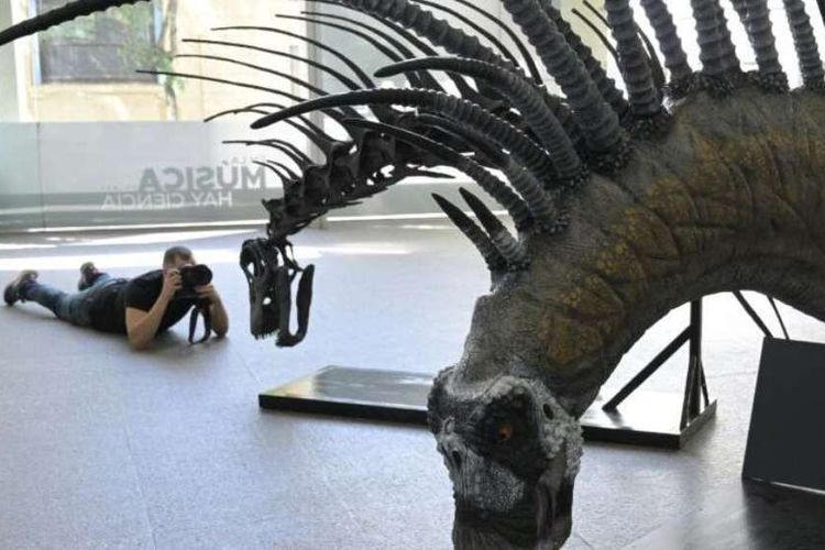 Bajadasaurus pronuspinax memiliki leher dan punggung bertanduk tajak yang diyakini mekanisme pertahanan melawan predator.