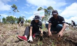 Maknai Hari Lingkungan Hidup Sedunia, BRI Pulihkan Ekosistem dan Lawan Perubahan Iklim melalui Program BRI Menanam Grow and Green 