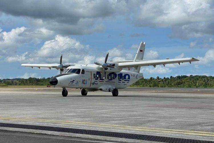 AHY Sebut Pesawat N219 Buatan PTDI Cocok untuk Penerbangan Perintis, Ini Alasannya