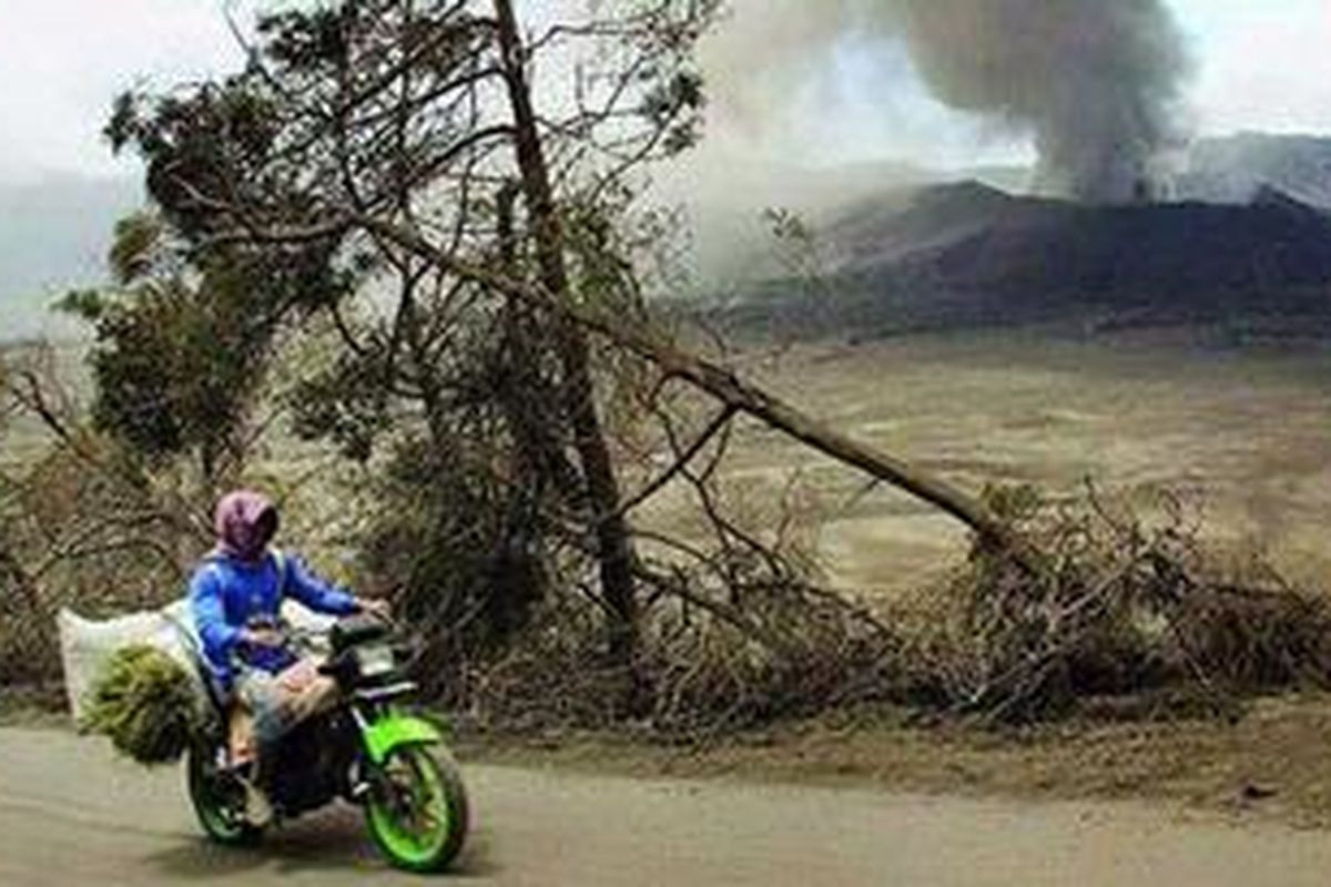 Warga Ngadisari, Kecamatan Sukapura, Kabupaten Probolinggo, Jawa Timur, memaksakan diri beraktivitas di tengah erupsi Gunung Bromo, Minggu (30/1/2011). Gunung Bromo pada dua hari terakhir kembali menyemburkan pasir ke desa-desa di sekitarnya. Dentuman juga kerap terjadi setiap hari.