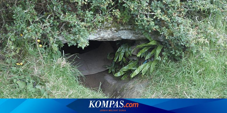 Goa Kucing, 