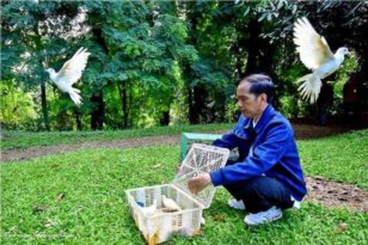 Jokowi mengaku rutin melepaskan burung dan ikan ke alam. 