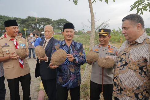 Saat Perwakilan Negara Rumania Kepincut dengan Porang, Tawarkan Kerja Sama dengan Pemkot Madiun