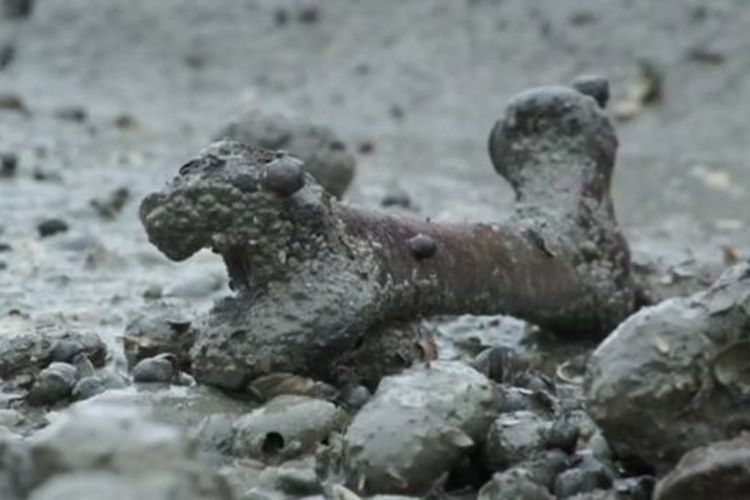 Tulang manusia yang muncul di Deadmands Island, Kent, Inggris.