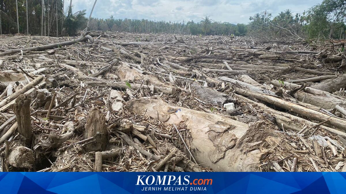 Pemulihan Aceh Pascabencana Butuh Rp153,3 Triliun ~TR

Klik untuk baca: