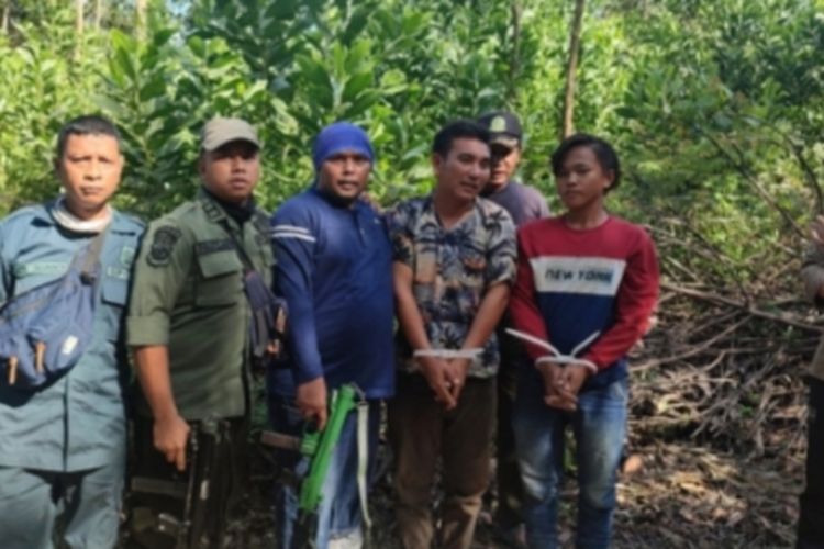 Petugas Gakkum KLHK Wilayah Sumatera saat menangkap dua pelaku perambah hutan Taman Nasional Tesso Nilo di Kabupaten Pelalawan, Riau, Selasa (27/6/2023).