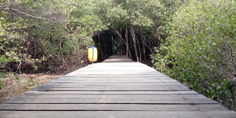 Jenis Jenis Ekosistem Pantai Halaman All Kompas Com Jenis Jenis Ekosistem Pantai Halaman All Kompas Com