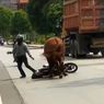 Seekor Sapi Mengamuk Saat Hendak Dijual, Serang Sejumlah Pengendara di Jalan Raya