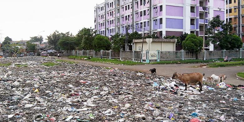 Hamparan sampah seluas lebih dari 500 meter persegi terlihat di samping Rumah Susun Sederhana Sewa Pinus Elok, Cakung, Jakarta Timur, Kamis (5/2). Hamparan sampah itu telah berusia 16 tahun dan tak pernah diangkut. Baru pada awal Januari separuh timbunan sampah itu diangkut setiap hari oleh Suku Dinas Kebersihan Jakarta Timur.