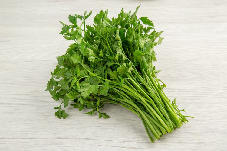 Sering Tertukar, Ini Perbedaan Daun Seledri, Ketumbar, dan Peterseli