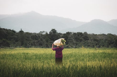 Indonesia Kuat jika Nasib Petani Jadi Prioritas Kebijakan Negara