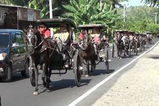 Tradisi Sambut Ramadhan, Warga Suku Mandar Naik Delman Ziarah Makam Para Wali