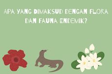 Apa yang Dimaksud dengan Flora dan Fauna Endemik?