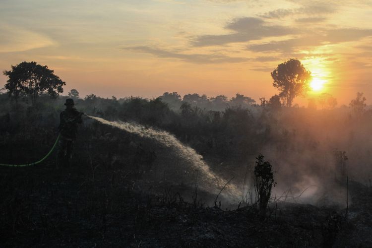 Prajurit TNI menyemprotkan air ke arah lahan gambut yang terbakar di Desa Rimbo Panjang, Kabupaten Kampar, Riau, Senin (7/8/2017). Satuan tugas pemadam kebakaran lahan Riau terus berupaya melakukan upaya pemadaman agar kebakaran tidak semakin meluas.