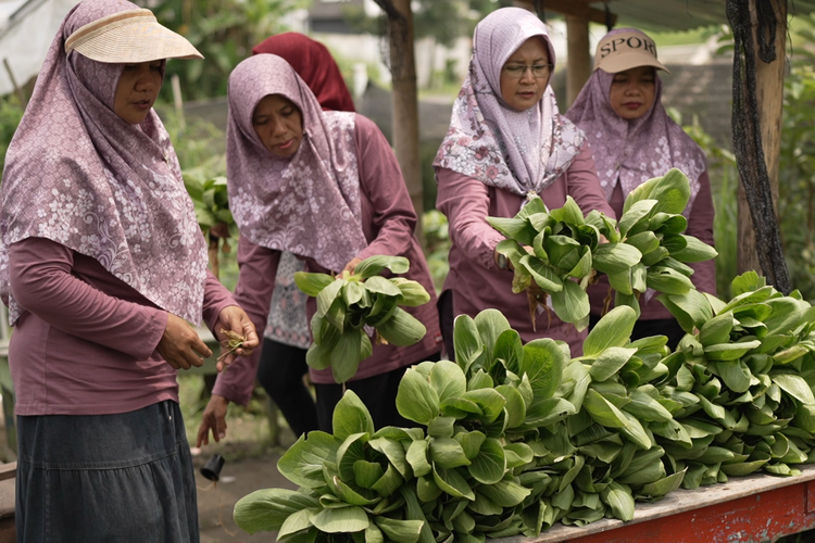 Dampak MBG di Karanganyar, Petani Wanita Klodran Tak Lagi Pusing Jual Hasil Panen