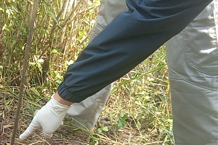 Misteri Kerangka Perempuan di Kebun Jati Sukabumi Terungkap, Korban Dibunuh karena Masalah Uang